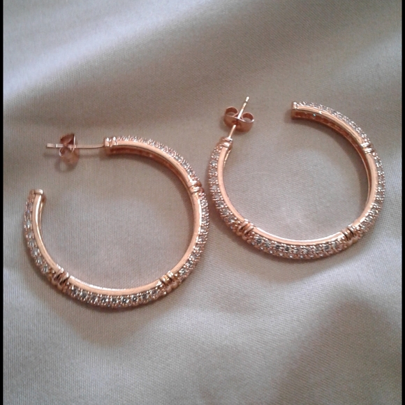 Rose Gold Earrings - Picture 4 of 4